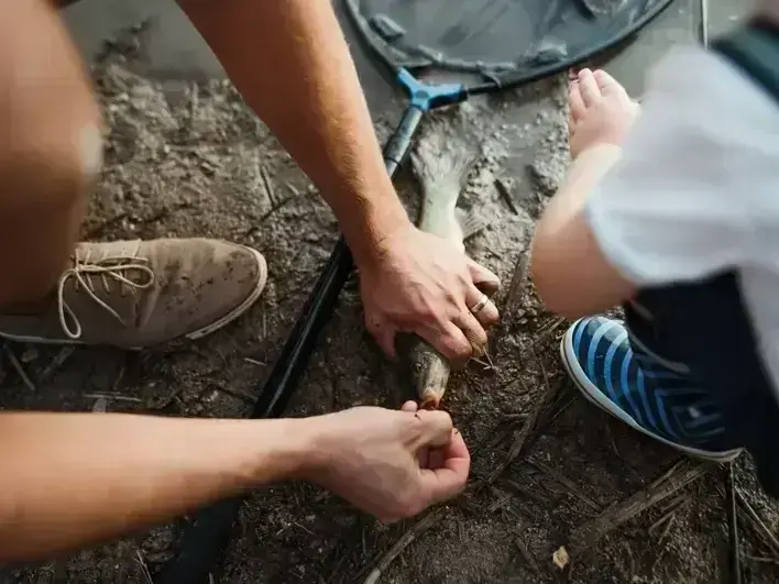 SnoFalls Plumbing LLC service area covering Kent, WA and surrounding neighborhoods